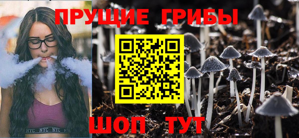 Кольчугино  Псилоцибиновые грибы Cubensis  Вход с VPN 