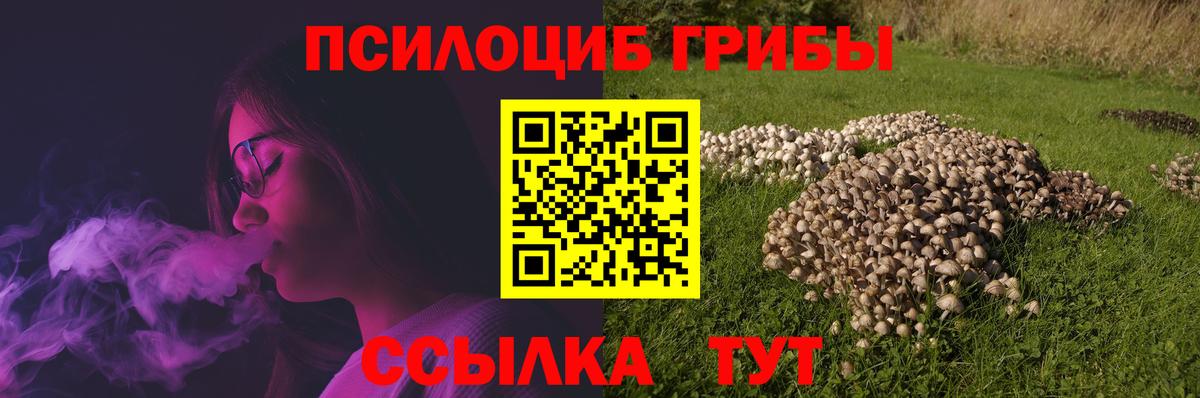 Галлюциногенные грибы MAGIC MUSHROOMS Кольчугино